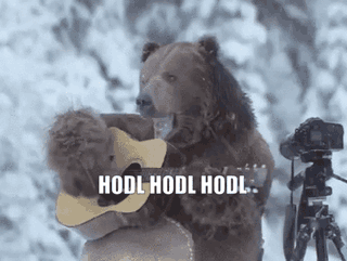 Cryptocurrency Hold GIF - Find & Share on GIPHY