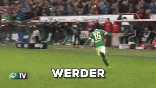 malte  GIF