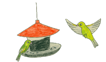 CSOBirdlife Sticker