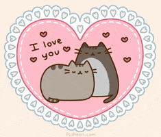cat love GIF by i-love-you