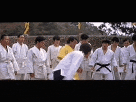 kung fu bruce lee jee kun do GIF
