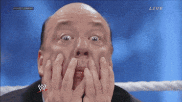 Shocked Fan GIF by WWE