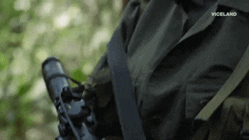 vicecol gif 1 GIF
