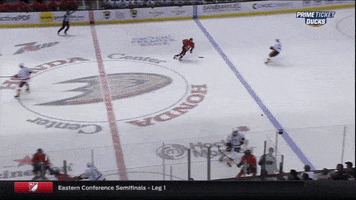 mightydavid hockey nhl anaheim ducks GIF