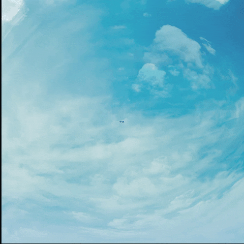 flesh  GIF