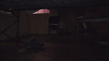 ellismonk5  GIF
