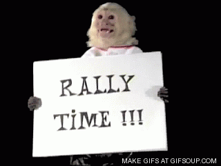monkey rally GIF