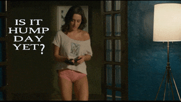 Movie gif. Addison Timlin as Stormy in Odd Thomas walks through a set of French doors while loading a gun and then glancing up. Text, "Is it hump day yet?"