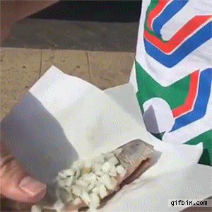 Man Seagull GIF - Find & Share on GIPHY