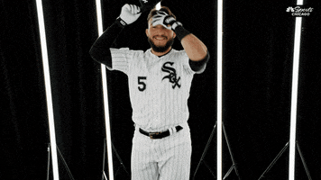 white sox baseball GIF by NBC Sports Chicago