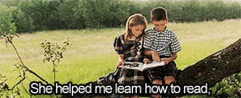 Image result for gifs about reading