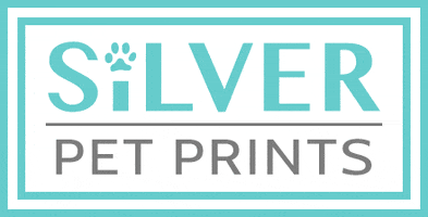 GIF by silverpetprints