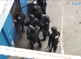 juanmanuelvegal  GIF