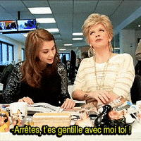 le petit journal canal GIF