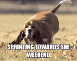 Friday Weekend GIF by Marie Claire