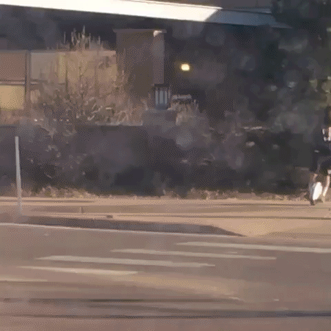 mustache  GIF