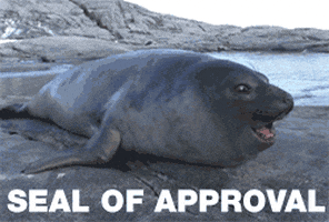 Seal Of Approval GIFs - Get the best GIF on GIPHY
