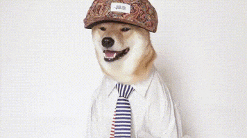 costume GIF by Menswear Dog