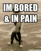 im bored GIF im bored GIF