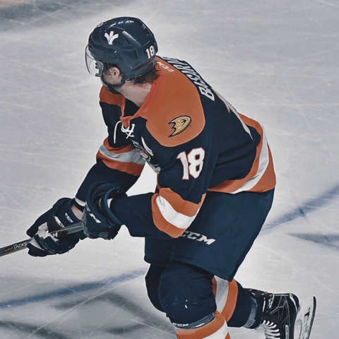 nhl affiliate GIF by Greenville Swamp Rabbits