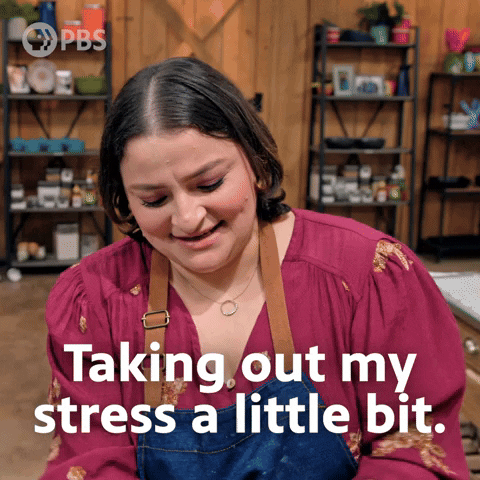 Stressed Season 3 GIF by PBS