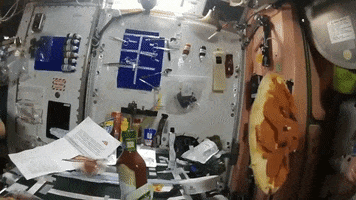Space Station GIF by Storyful