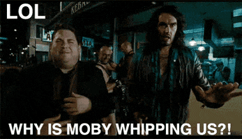  movies laughing jonah hill moby russell brand GIF