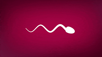 Illustrated gif. White sperm glides as a tail ripples behind it on a burgundy background.