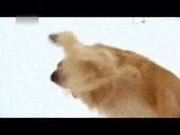 Best Ashes Gifs Primo Gif Latest Animated Gifs