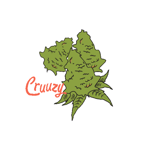 Cruuzy Sticker
