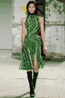200.gif?cid=fc005b08a2ff15a2f2534dde2b7fbd5de1cadda271d79323&rid=200.gif&ct=g