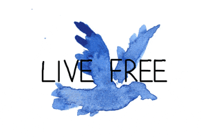 live free birds GIF
