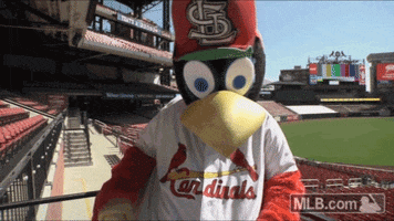 Fred Bird GIFs - Get the best GIF on GIPHY