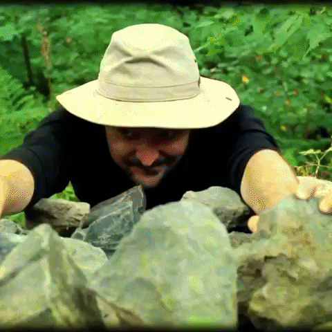 Forest Thumbs Up GIF by Four Rest Films