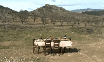 picnic vulture GIF