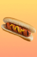 Hot Dog GIF by Shaking Food GIFs