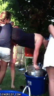 https://media1.giphy.com/media/15hU5RZWKzQVq/giphy.gif?cid=4bf119fc5cc9f6776c43593536c62951&rid=giphy.gif