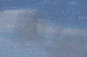 Plane Airplane GIF