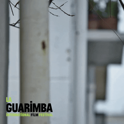 Big Eyes Hello GIF by La Guarimba Film Festival - Find & Share on GIPHY