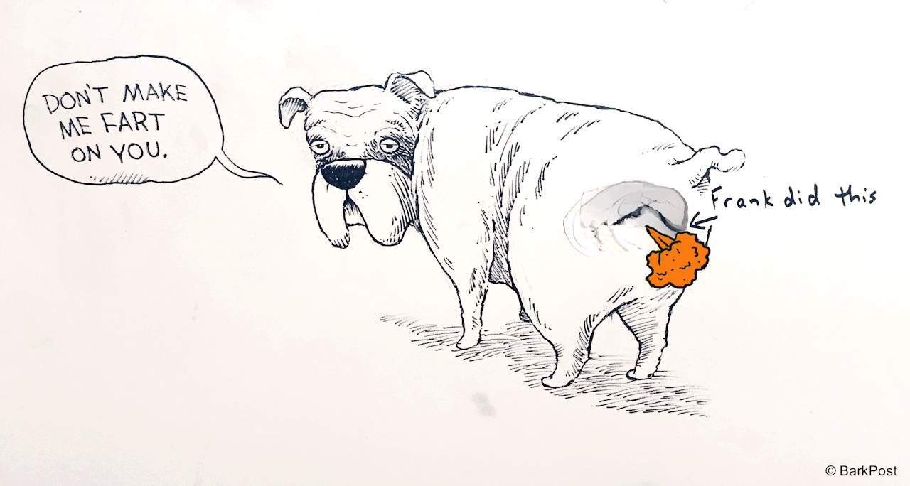 Fart Lol GIF by The BarkPost 