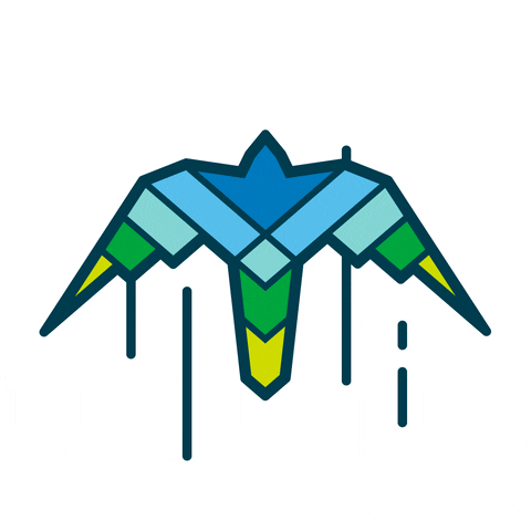 Joy Flying GIF by Spirit North