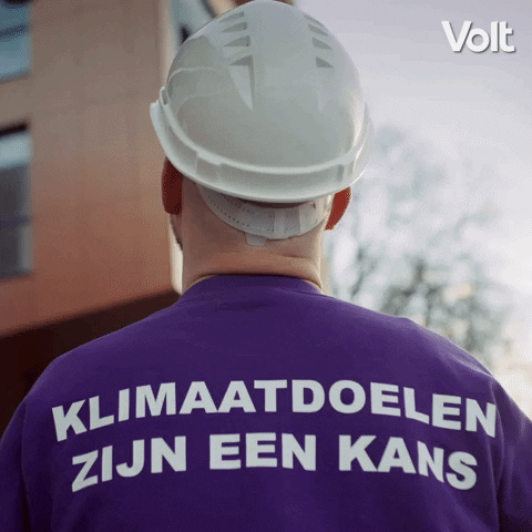 Verkiezingen Stemvolt GIF by VoltNL