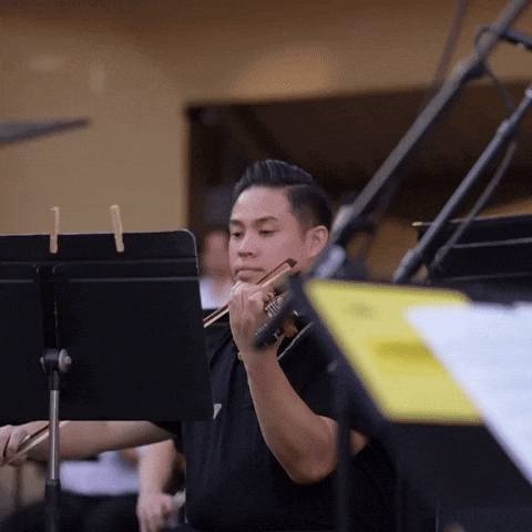 GIF by sgvsymphony