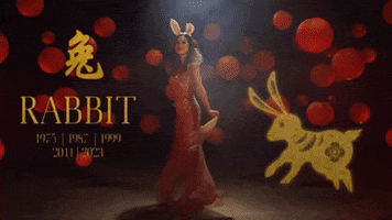 New Year Rabbit GIF by BuzzFeed