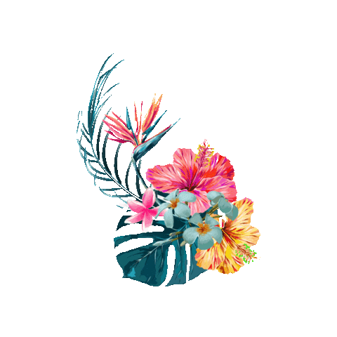 SXM FESTIVAL Sticker