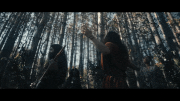 GIF by Crown Lands