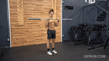 Barbell Reverse Curl GIF