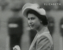Judging Queen Elizabeth GIF by Madman Films