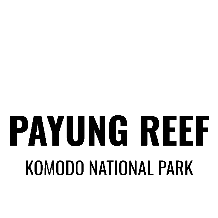 Scubadiving Sticker by Dragon Dive Komodo