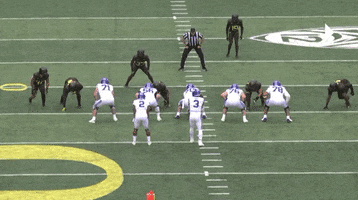 Cfcbears GIF